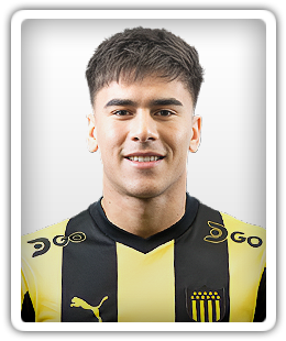 Brian Mansilla
