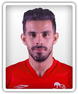 Shahin Saghebi