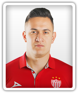 Raúl Gudiño