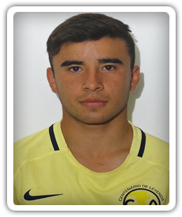 Fernando Illescas