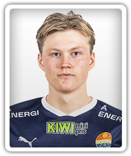 Halldor Stenevik
