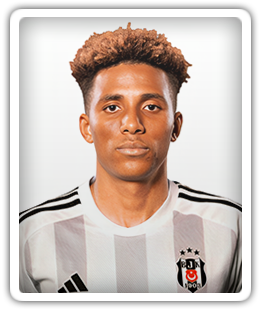 Gedson Fernandes